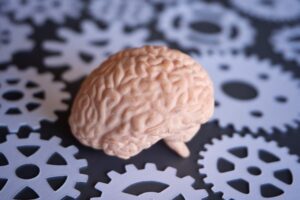 1close-up-of-a-human-brain-model-surrounded-by-pape-2025-03-13-21-20-40-utc