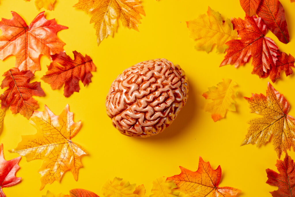 Patterns In People 🎶 Boom Boom Ta-Ta Boom! The Power of Patterns in Creativity and Brain ...