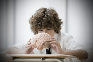 Boy with model brain