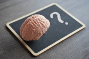 human-brain-model-on-top-of-a-blackboard-with-a-qu-2025-03-14-20-57-47-utc